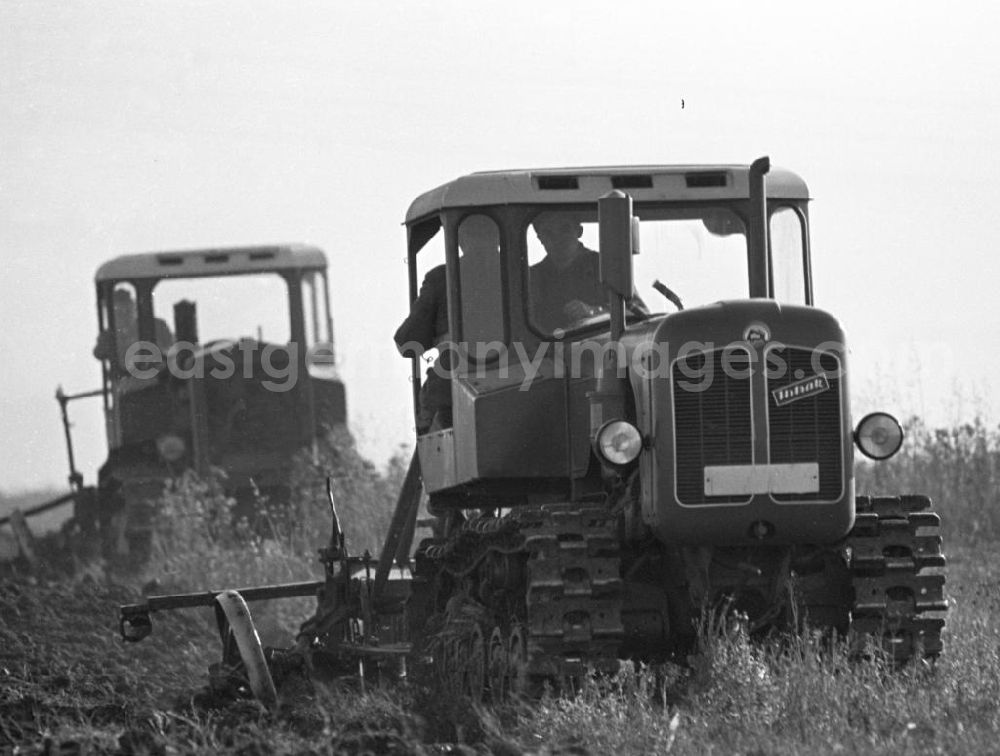 GDR image archive: Freyburg - Mit Traktoren pflügen Bauern ein Feld in der Nähe von Freyburg, um den Acker für die Aussaat vorzubereiten.