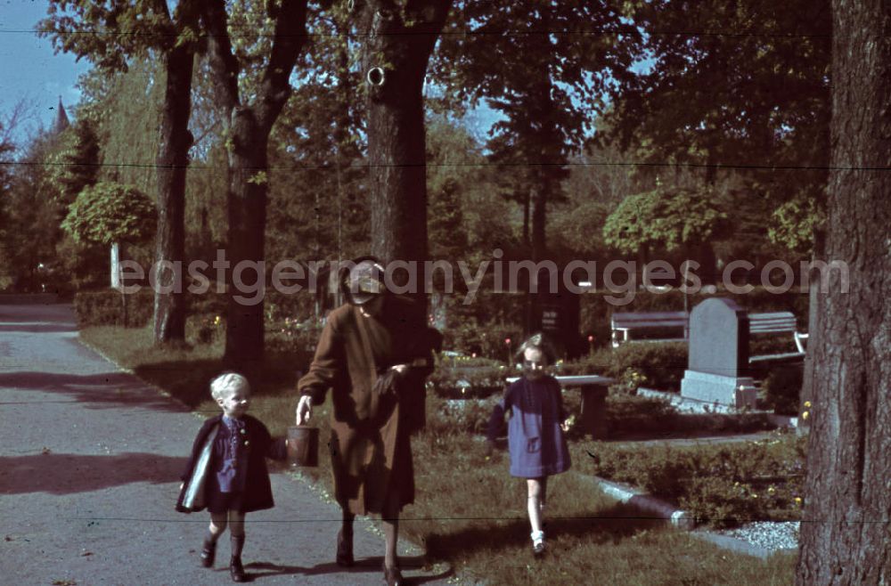 GDR photo archive: Merseburg - Mutter mit Kindern auf einem Friedhof in Merseburg. Mother with children at a cemetery in Merseburg.