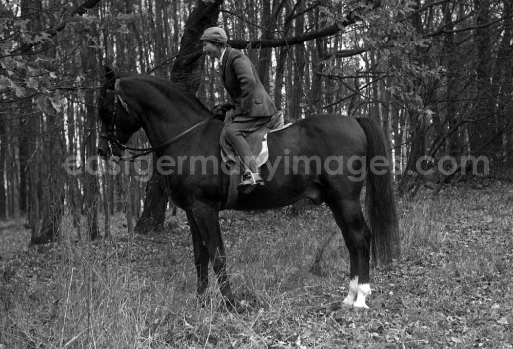 GDR image archive: Moritzburg - Fox hunting in Moritzburg in the state Saxony on the territory of the former GDR, German Democratic Republic