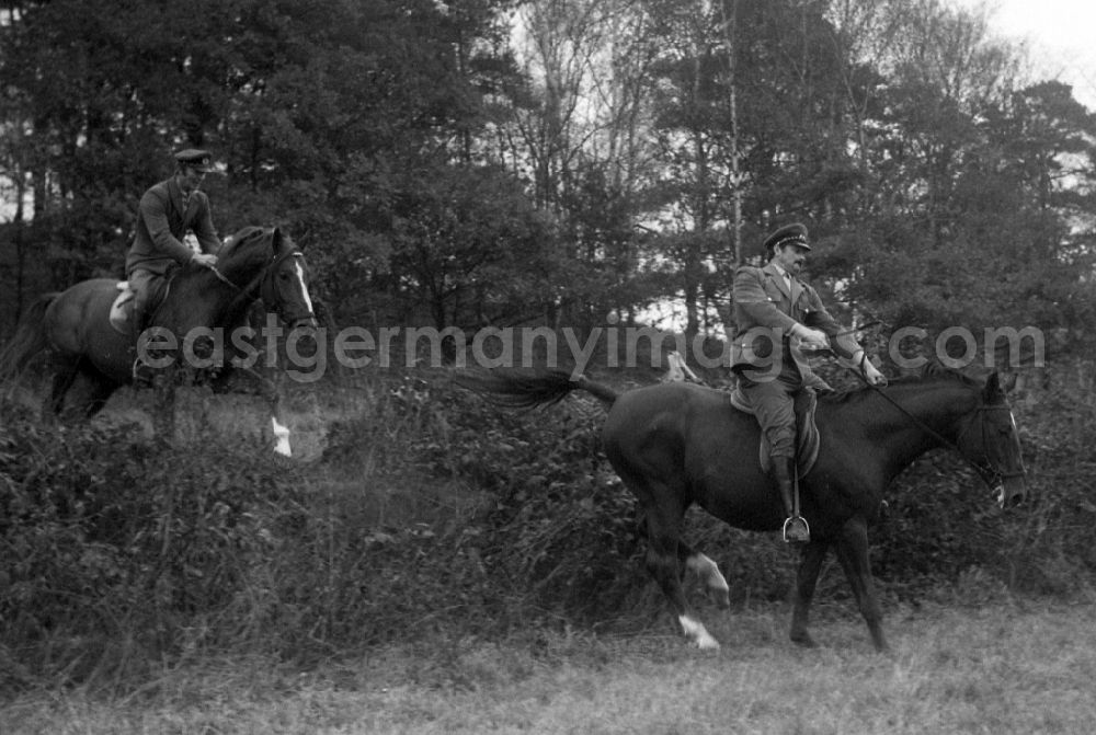 GDR picture archive: Moritzburg - Fox hunting in Moritzburg in the state Saxony on the territory of the former GDR, German Democratic Republic