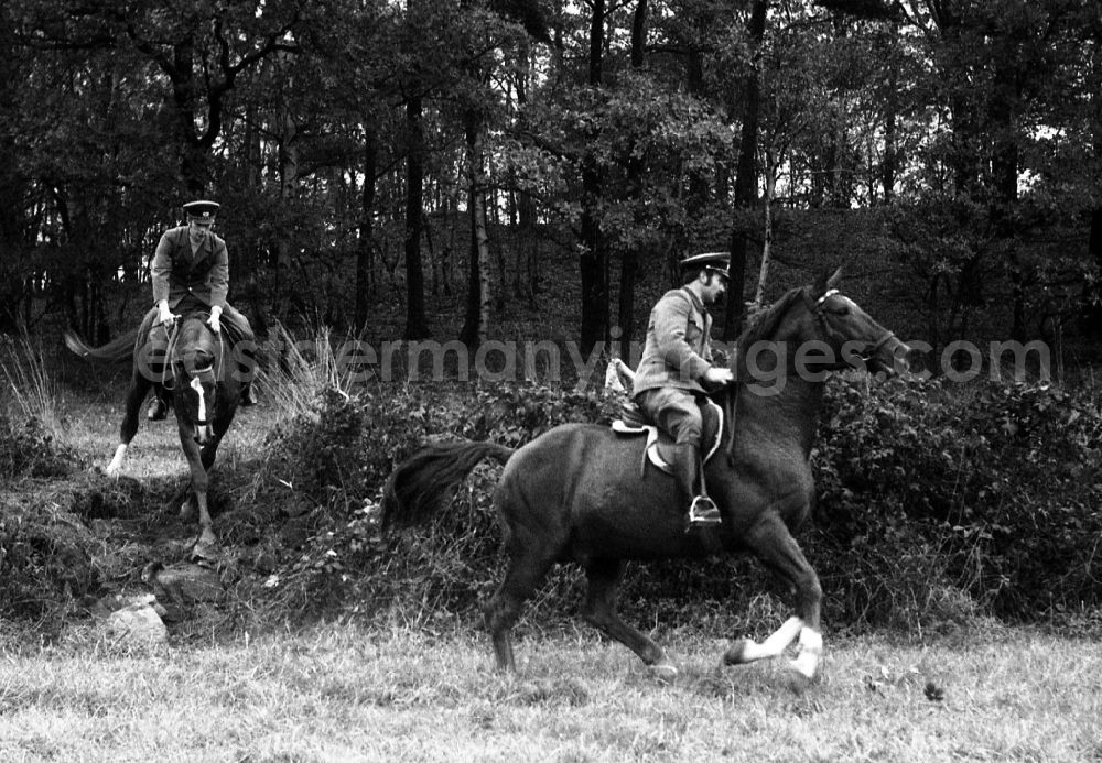 GDR photo archive: Moritzburg - Fox hunting in Moritzburg in the state Saxony on the territory of the former GDR, German Democratic Republic