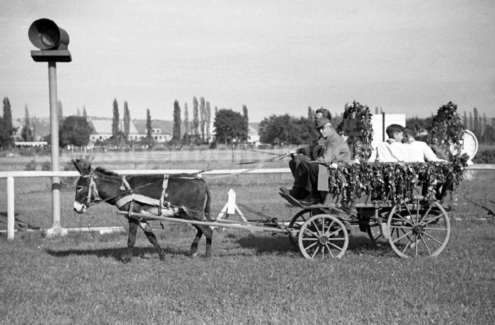 Dresden: Harvest wagon at the Dresden racecourse in Seidnitz in the federal state Saxony on the territory of the former GDR, German Democratic Republic