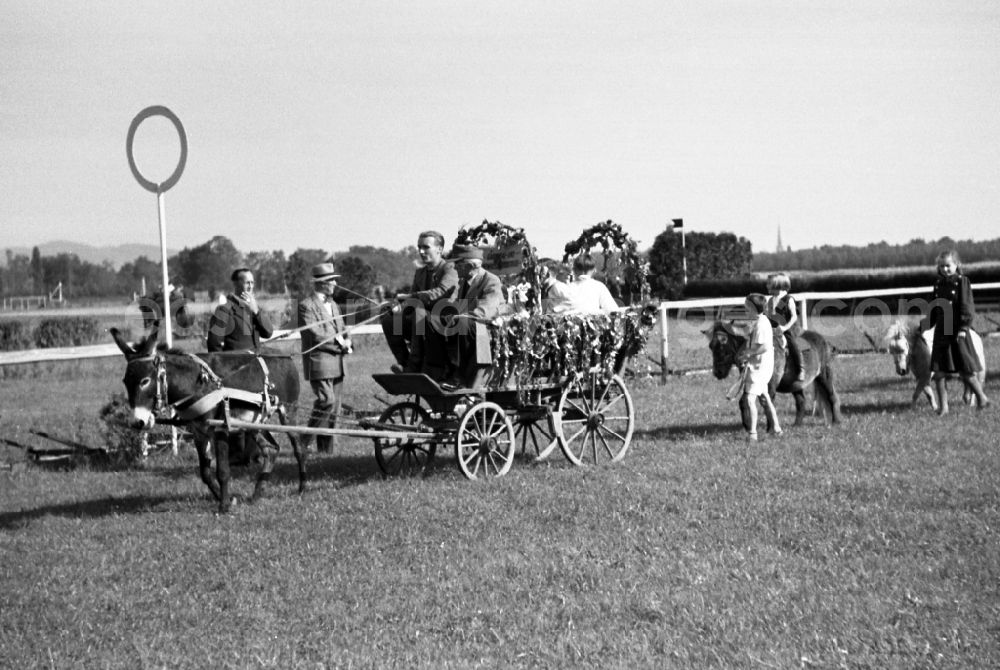 GDR picture archive: Dresden - Harvest wagon at the Dresden racecourse in Seidnitz in the federal state Saxony on the territory of the former GDR, German Democratic Republic