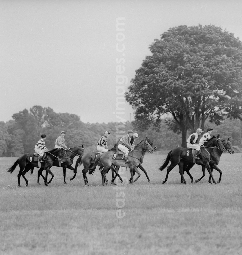 GDR image archive: Hoppegarten - Racehorses and jockeys at the horse race of the German Derby of the GDR, at the Hoppegarten racecourse, in Hoppegarten in the federal state Brandenburg on the territory of the former GDR, German Democratic Republic