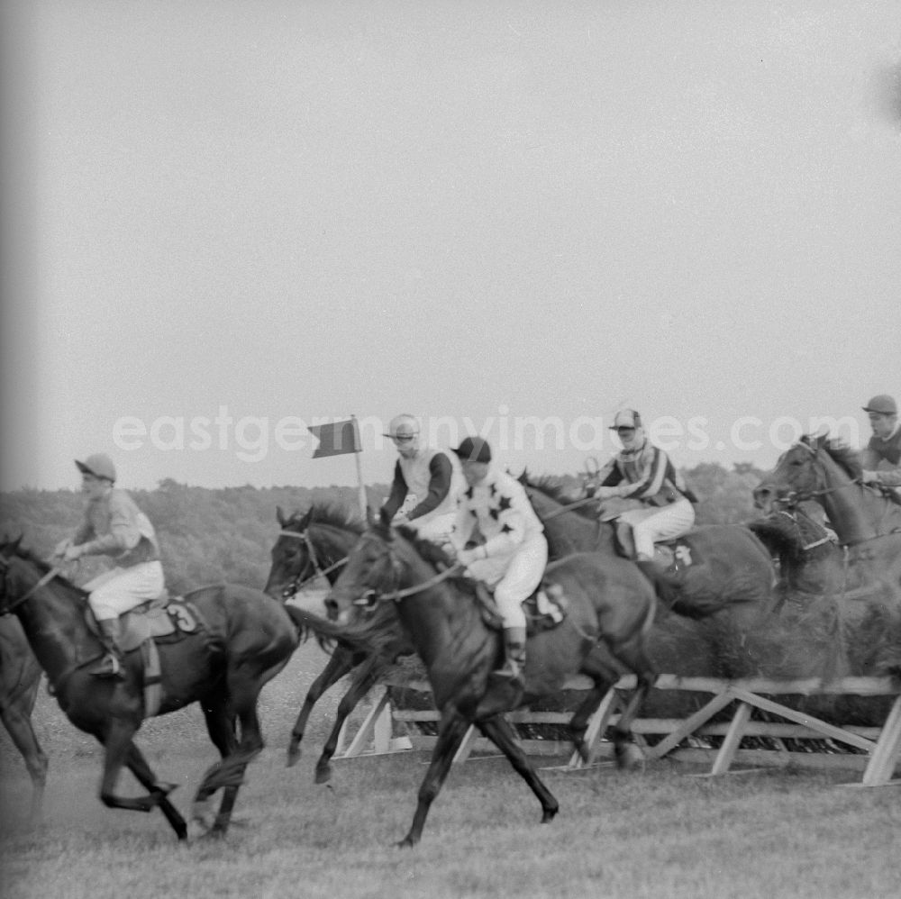 GDR photo archive: Hoppegarten - Racehorses and jockeys at the horse race of the German Derby of the GDR, at the Hoppegarten racecourse, in Hoppegarten in the federal state Brandenburg on the territory of the former GDR, German Democratic Republic
