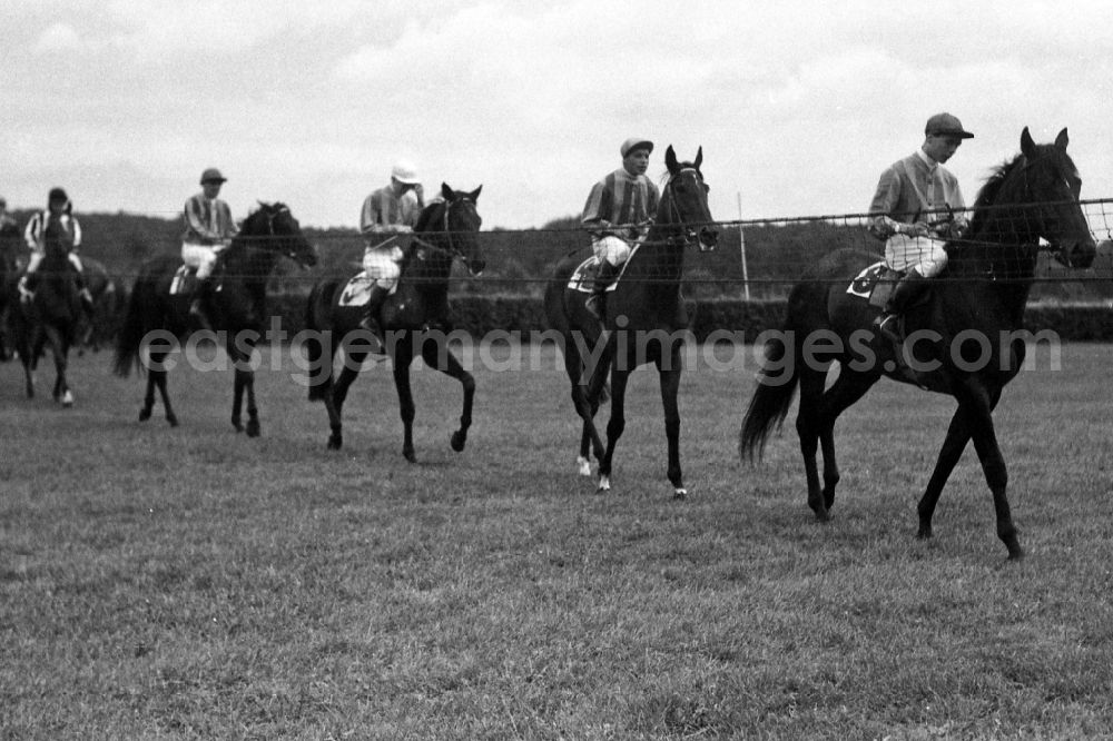GDR image archive: Hoppegarten - Horses and jockeys before the start of a gallop race at the Hoppegarten racecourse in Hoppegarten in the state Brandenburg on the territory of the former GDR, German Democratic Republic