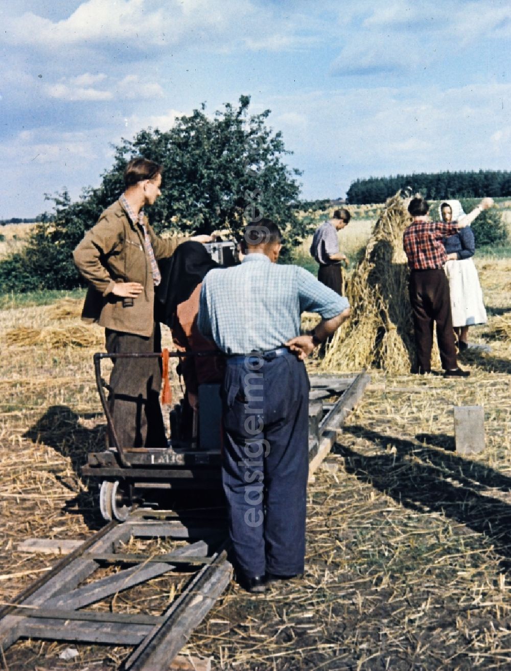 GDR picture archive: Teicha - Farmers harvesting grain and sheaf laying on a harvested field in Teicha in the state Saxony on the territory of the former GDR, German Democratic Republic