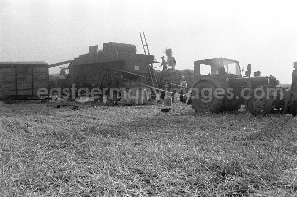 GDR image archive: Schkeuditz - Getreideernte auf einem Feld in der Nähe von Leipzig.
