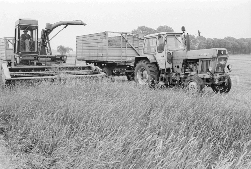 GDR photo archive: Lenzen (Elbe) - Cereal harvest in a field in Lenzen (Elbe) in Brandenburg in the area of the former GDR, German Democratic Republic. A combine harvests the crop and transported it right on a trailer of a tractor
