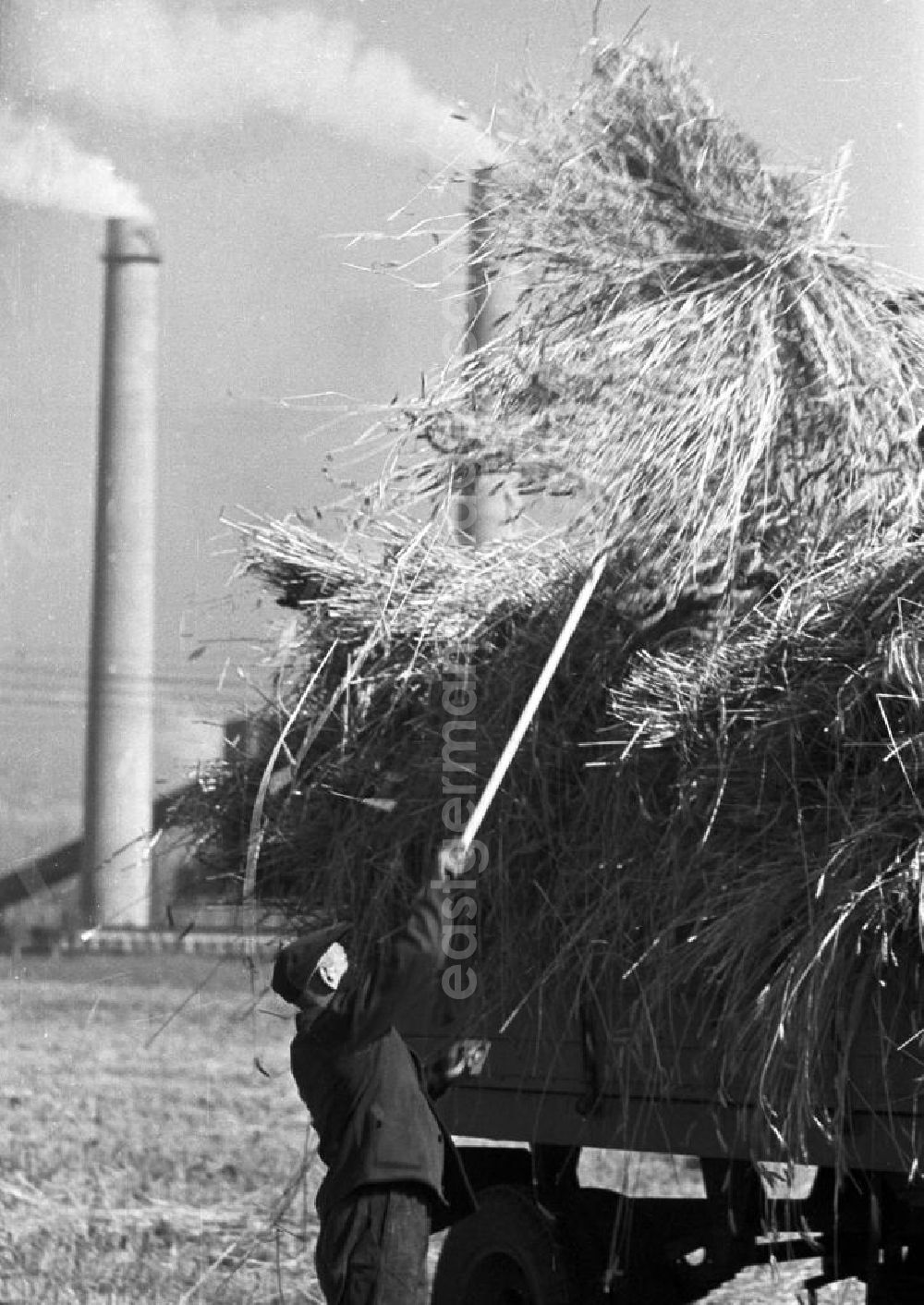 GDR picture archive: Espenhain - Ein Mann bei der Getreideernte auf einem Feld bei Espenhain. Doch die ländliche Idylle trügt: Espenhain galt vor allem aufgrund des 1942 errichteten und in den 50er Jahren weiter ausgebauten Braunkohlekraftwerkes Espenhain als dreckigste Stadt in der DDR. 199
