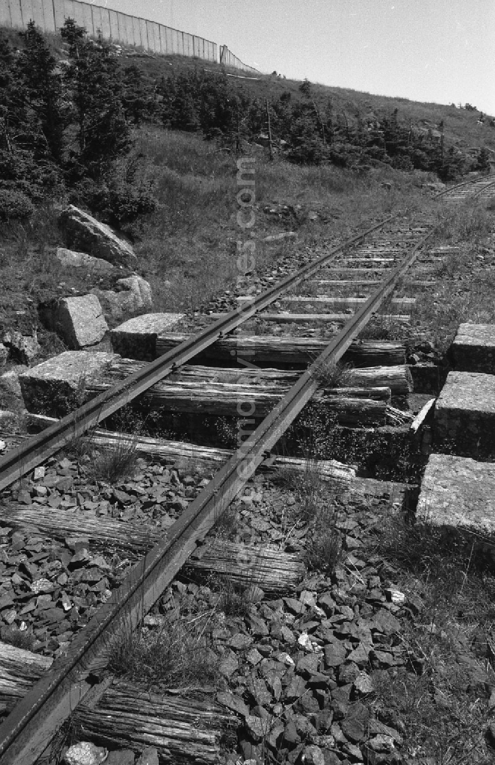Schierke: Neglected track layout and track systems on the railway line on the summit plateau of the Brocken after its release for civilian visitor traffic in Schierke in the Harz in the state of Saxony-Anhalt in the area of the former GDR, German Democratic Republic