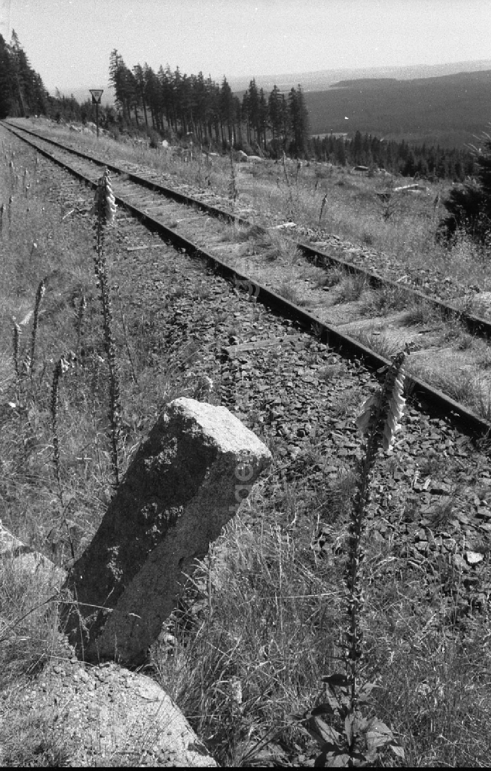Schierke: Neglected track layout and track systems on the railway line on the summit plateau of the Brocken after its release for civilian visitor traffic in Schierke in the Harz in the state of Saxony-Anhalt in the area of the former GDR, German Democratic Republic