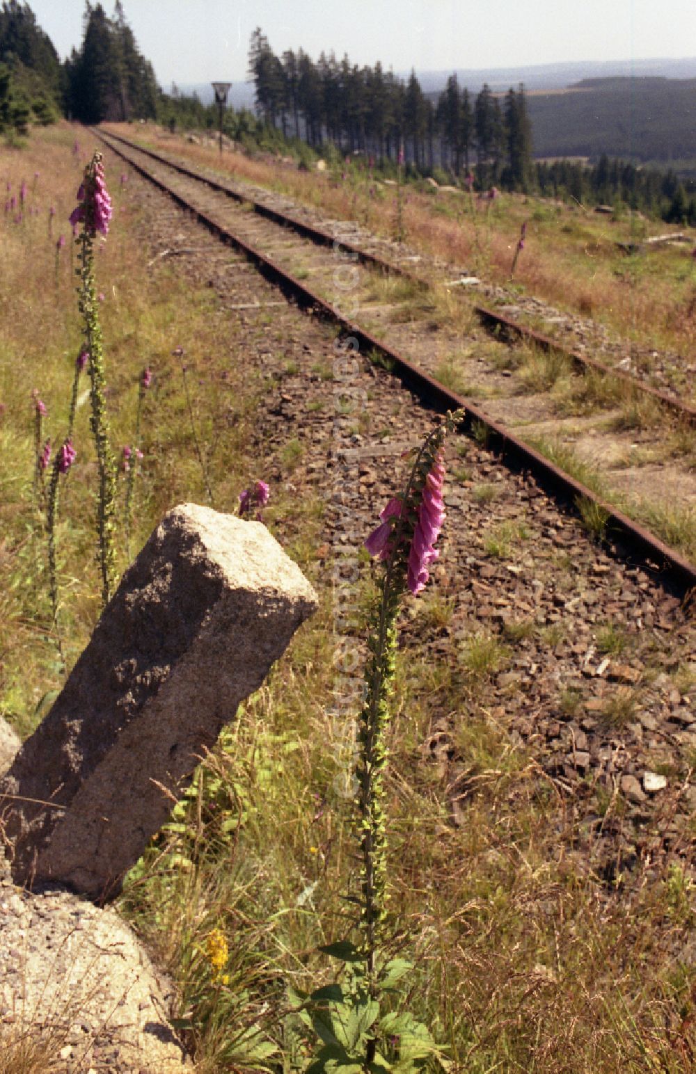 GDR photo archive: Schierke - Neglected track layout and track systems on the railway line on the summit plateau of the Brocken after its release for civilian visitor traffic in Schierke in the state of Saxony-Anhalt in the area of the former GDR, German Democratic Republic