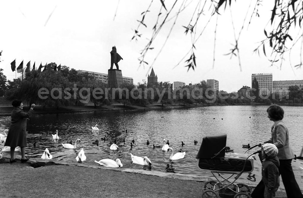 GDR photo archive: Mersburg - Eine Mutter spaziert mit ihren Kindern u.a. im Kinderwagen am Gotthardteich entlang. Eine Seniorin füttert Schwäne und Enten. Im Hintergrund ist die Kirchenruine St. Sixti zu sehen. Fahnen wehen am Mast neben dem Lenin-Denkmal aus Bronze an der Ernst-Thälmann-Straße.