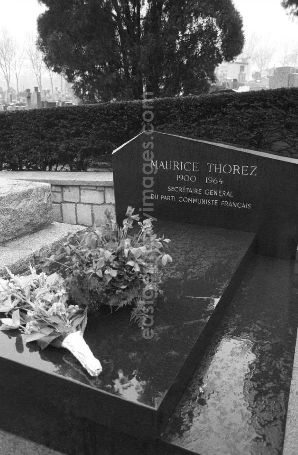 GDR photo archive: Paris - Grab von Maurice Thorez (Generalsekretär der PCF bzw. KPF, Kommunistische Partei Frankreich) auf dem Friedhof Pere Lachaise in Frankreich-Paris. Foto anläßlich des Besuchs von Erich Honecker, Staatsratspräsident DDR.