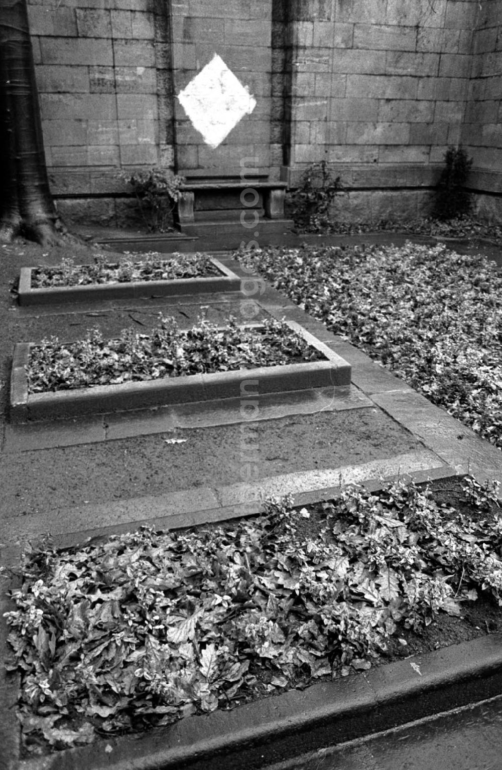 Berlin: Grab von Walter Rathenau geschändet 14.12.92