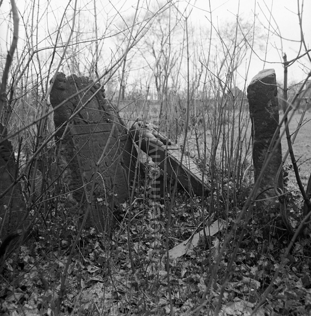 GDR picture archive: Halberstadt - Cultural-historical gravestone ensemble of the Jewish cemetery in the cemetery on street Sternstrasse - Westendorf in Halberstadt in the state Saxony-Anhalt on the territory of the former GDR, German Democratic Republic