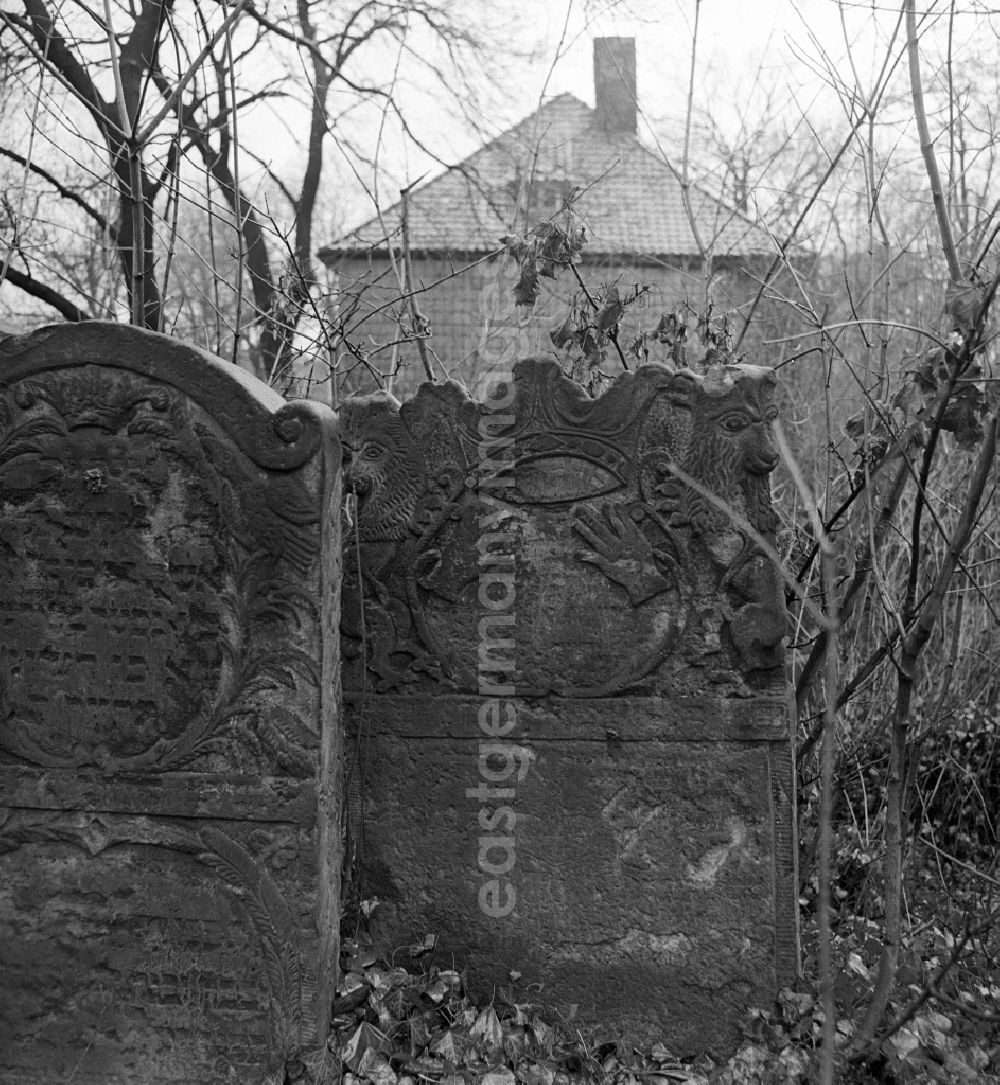 GDR photo archive: Halberstadt - Cultural-historical gravestone ensemble of the Jewish cemetery in the cemetery on street Sternstrasse - Westendorf in Halberstadt in the state Saxony-Anhalt on the territory of the former GDR, German Democratic Republic