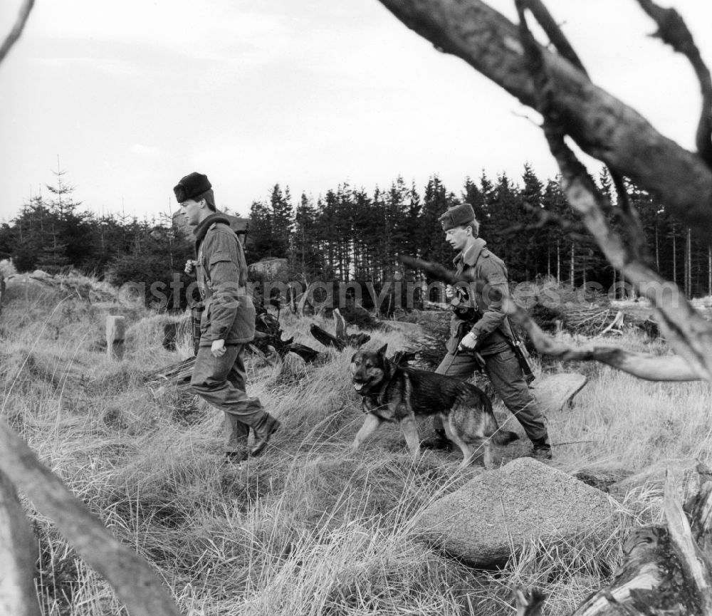 GDR image archive: Abbenrode - Border Patrol with dog near Abbenrode in today's federal state of Saxony-Anhalt. Here to see a pair of guards, equipped with machine gun AK-47
