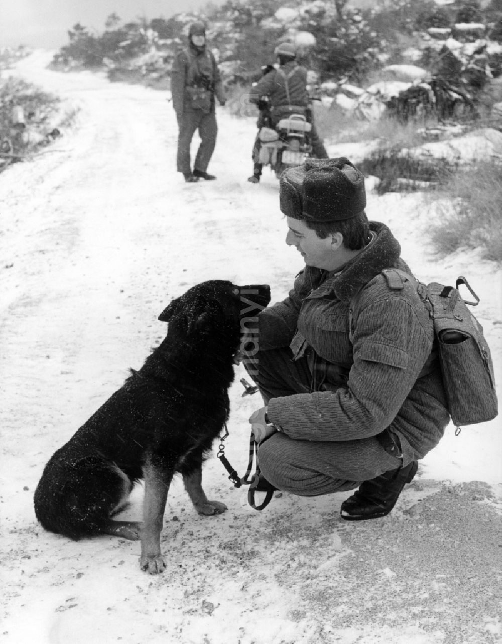 GDR image archive: Abbenrode - Border Patrol with dog near Abbenrode in today's federal state of Saxony-Anhalt