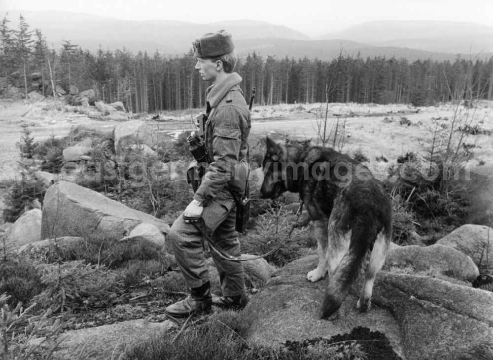GDR picture archive: Abbenrode - Border Patrol with dog near Abbenrode in today's federal state of Saxony-Anhalt. Here to see a guard, equipped with machine gun AK-47
