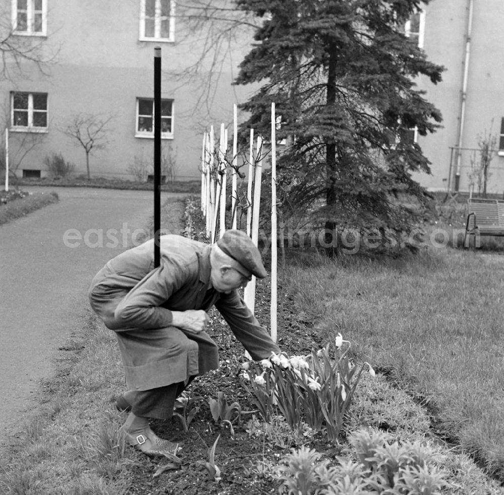 GDR image archive: Leipzig - A group of gardeners in the Andersen-Nexoe home in Leipzig in the state Saxony on the territory of the former GDR, German Democratic Republic