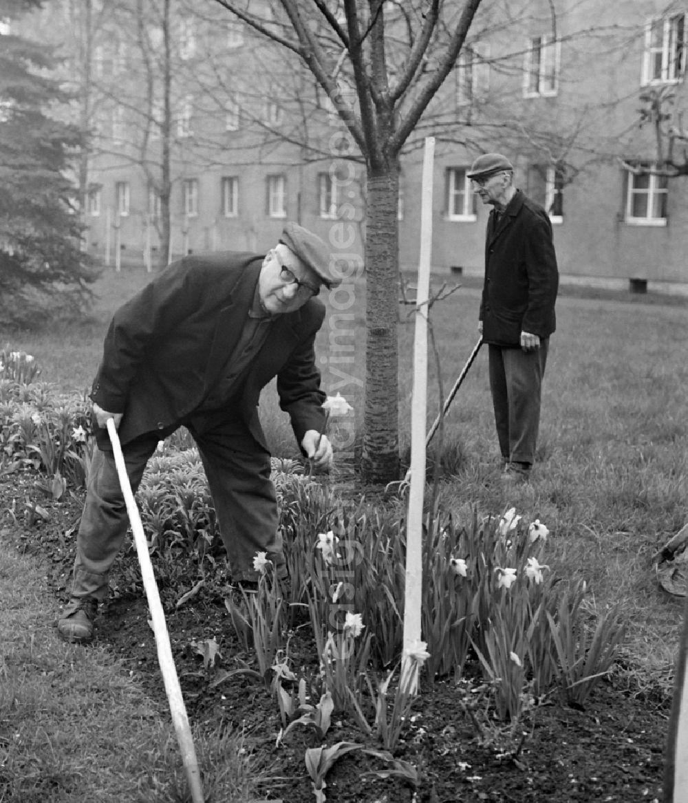 GDR photo archive: Leipzig - A group of gardeners in the Andersen-Nexoe home in Leipzig in the state Saxony on the territory of the former GDR, German Democratic Republic