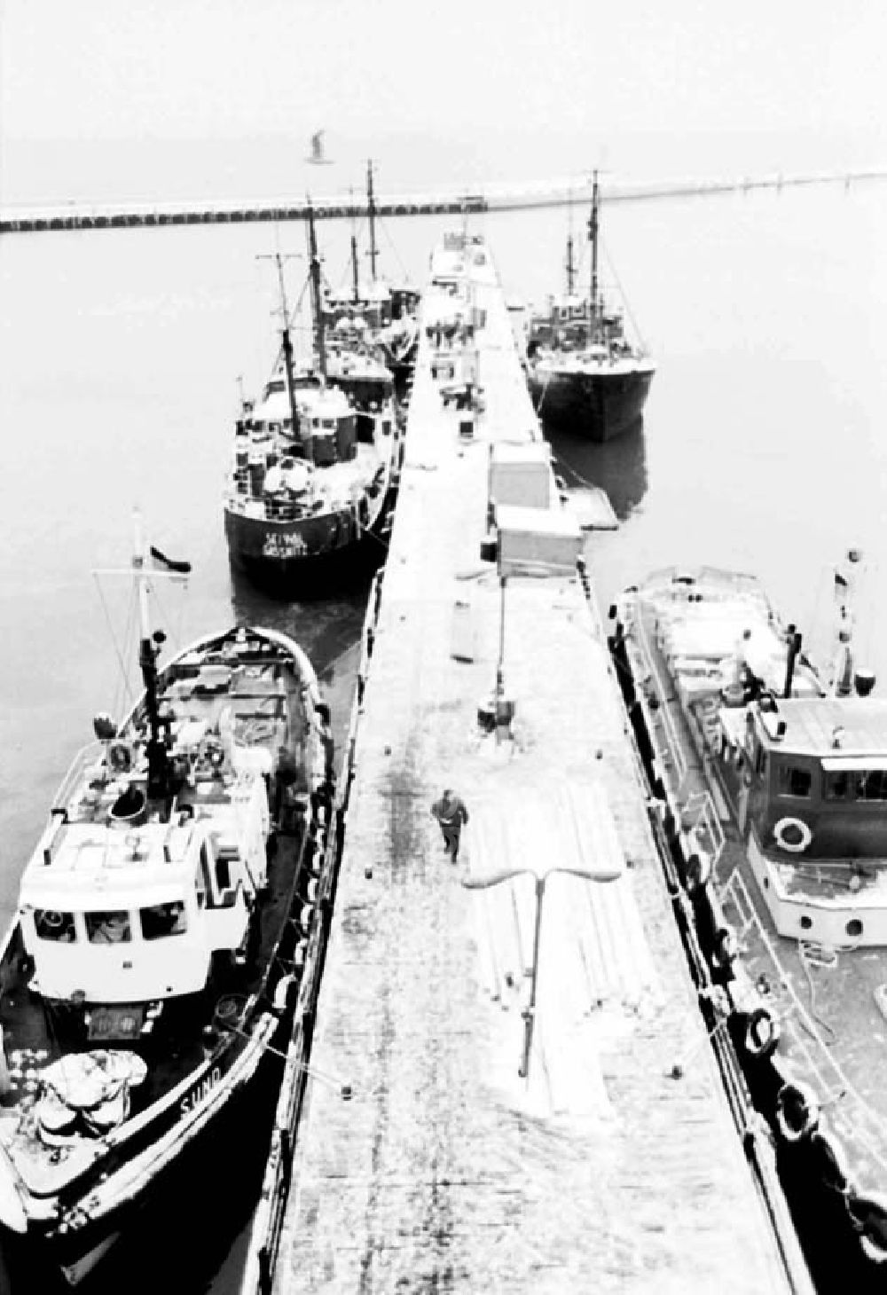 GDR image archive: Saßnitz - Hafen vom Fischkombinat in Saßnitz auf Rügen