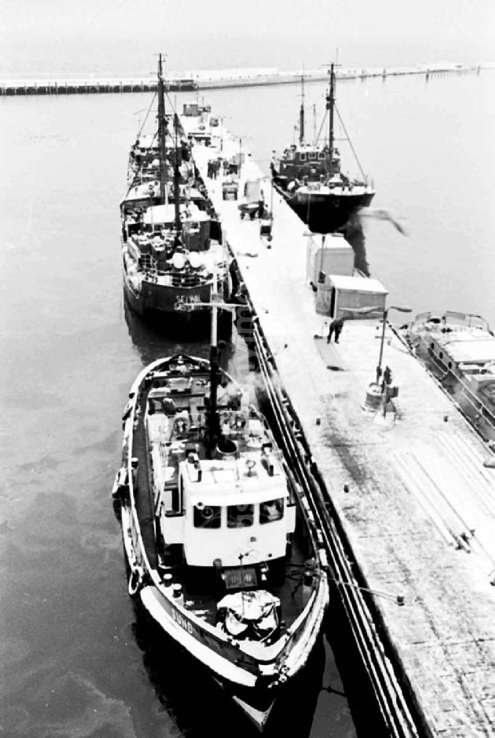 GDR photo archive: Saßnitz - Hafen vom Fischkombinat in Saßnitz auf Rügen