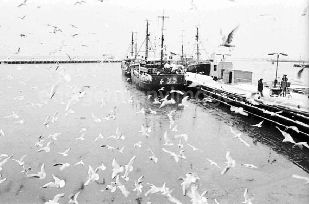 GDR image archive: Saßnitz - Hafen vom Fischkombinat in Saßnitz auf Rügen