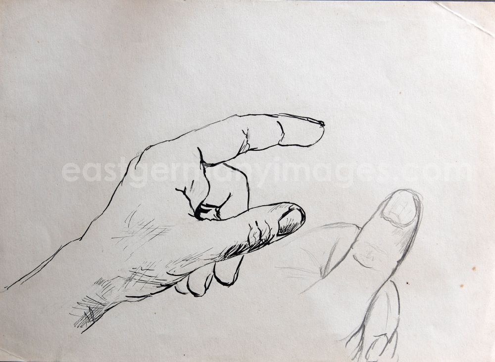 GDR photo archive: Halberstadt - VG image free work: ink drawing hand and fingers by the artist Siegfried Gebser in Halberstadt in the state Saxony-Anhalt on the territory of the former GDR, German Democratic Republic