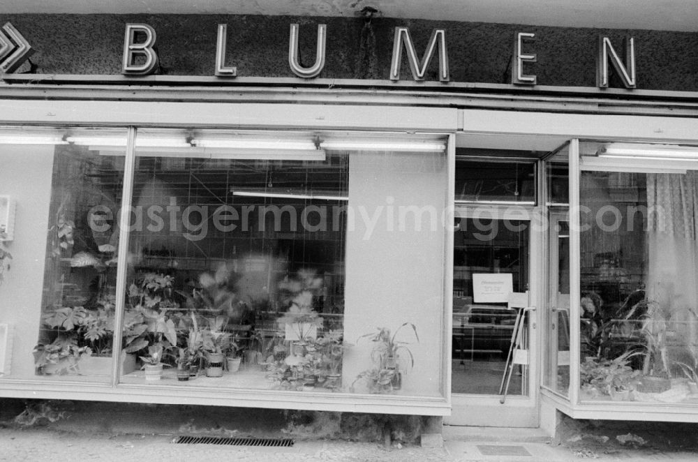 GDR image archive: Berlin - House front and Shopwindow for flowers retail store in the borough Berlin-Pankow or Prenzlauer Berg