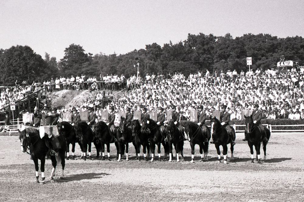 GDR photo archive: Moritzburg - Stallion parade at the Moritzburg stallion depot of the VE Horse Breeding Directorate South in Moritzburg, Saxony in the territory of the former GDR, German Democratic Republic