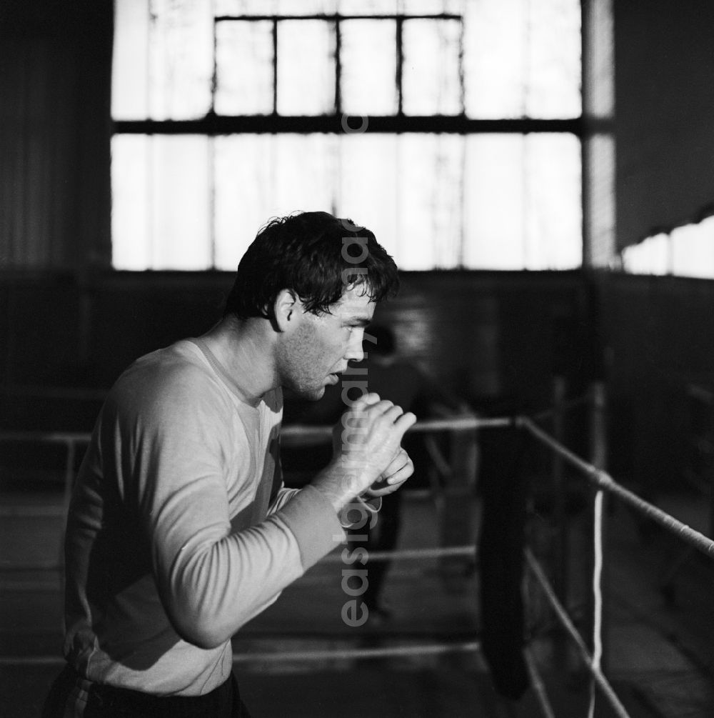 GDR picture archive: Frankfurt/Oder - Henry Maske is a retired German boxer in cruiser weight. Here at a daily boxing training at ASK Frankfurt / Oder in Brandenburg