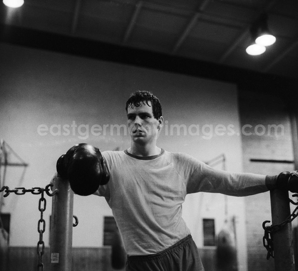 GDR photo archive: Frankfurt/Oder - Henry Maske is a retired German boxer in cruiser weight. Here at a daily boxing training at ASK Frankfurt / Oder in Brandenburg