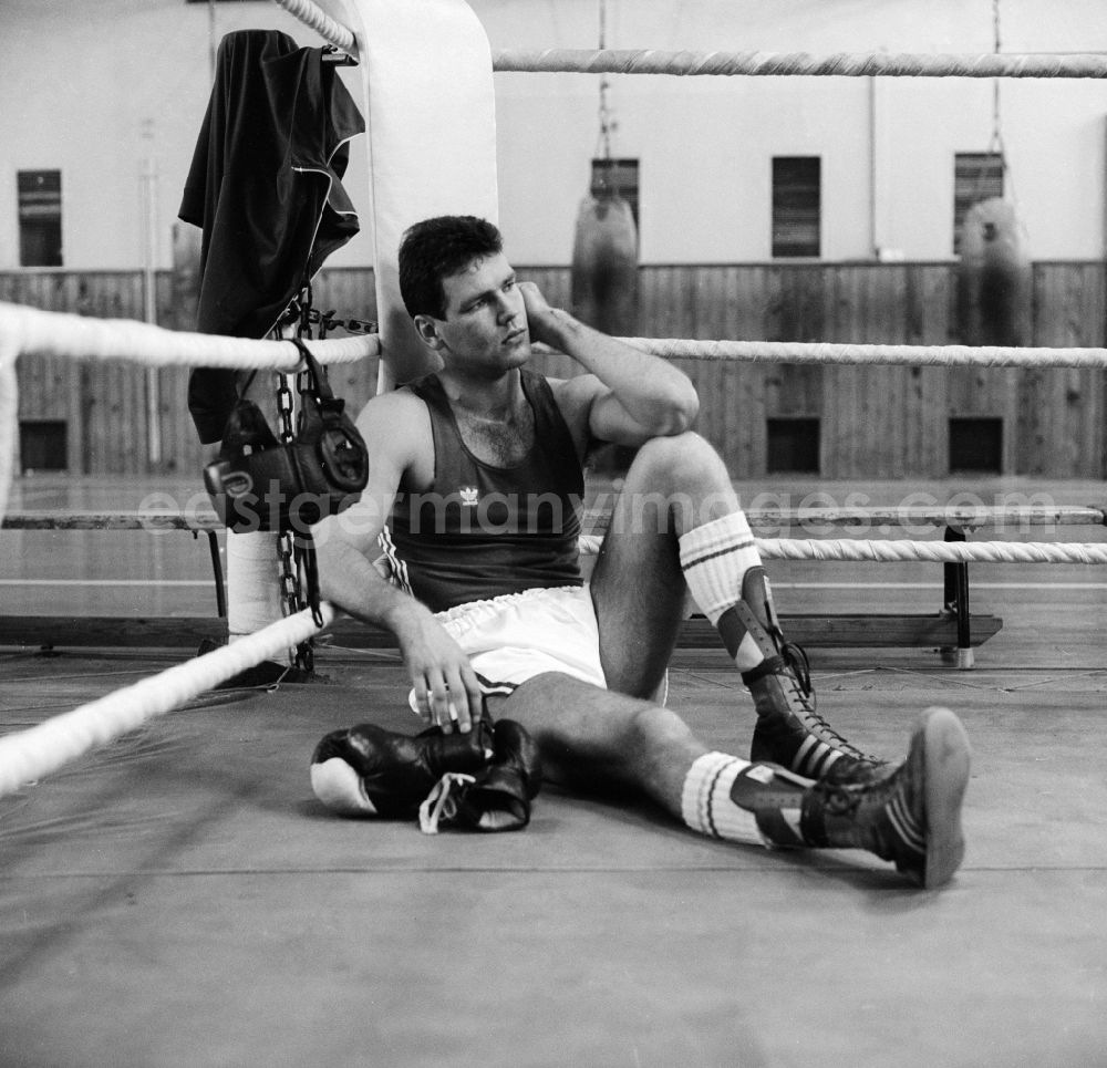 GDR picture archive: Frankfurt (Oder) - Henry Maske is a retired German boxer in cruiser weight. Here at a daily boxing training at ASK Frankfurt / Oder in Brandenburg