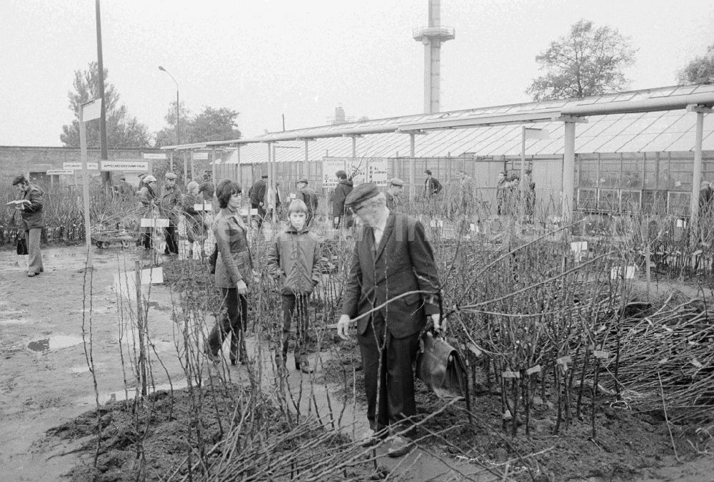 GDR image archive: Berlin - Autumn sales of young shrubs, woods and other plants in the nursery garden Spaeth in Berlin, the former capital of the GDR, German democratic republic