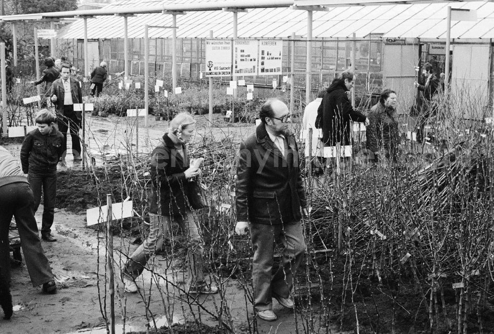 GDR photo archive: Berlin - Autumn sales of young shrubs, woods and other plants in the nursery garden Spaeth in Berlin, the former capital of the GDR, German democratic republic