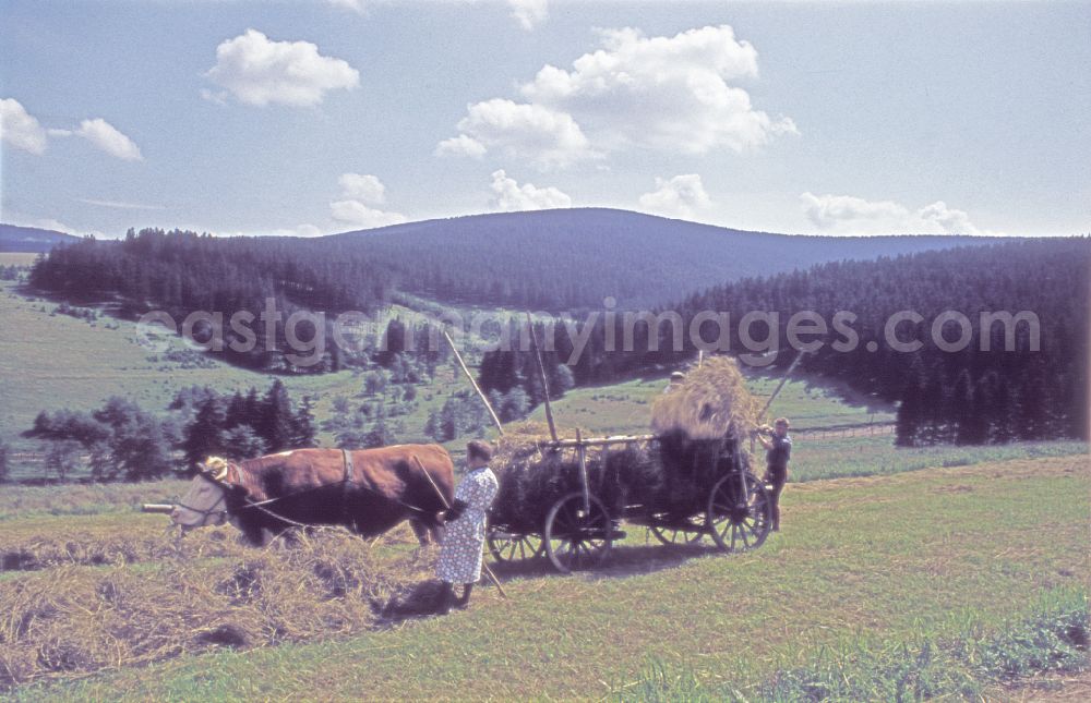 Großfahner: Farmers for straw and hay harvest on agricultural fields and farmland in Grossfahner in DDR
