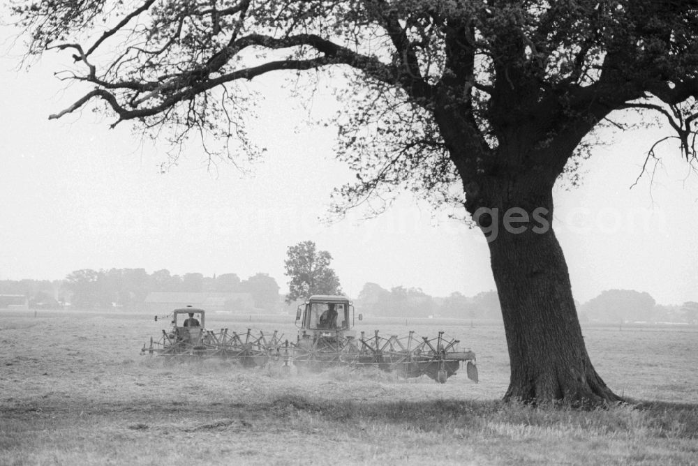 Lenzen (Elbe): Hay turning machine with a tractor in a field in Lenzen (Elbe) in Brandenburg in the area of the former GDR, German Democratic Republic
