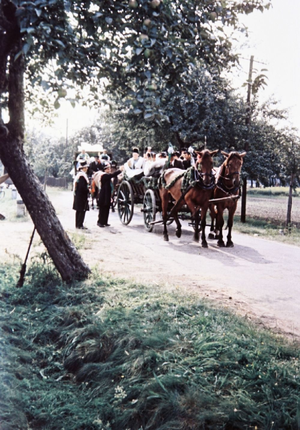 GDR picture archive: Radibor - Wedding carriage and costumes and garments the Sorbian minority in Milkel in the state Saxony on the territory of the former GDR, German Democratic Republic