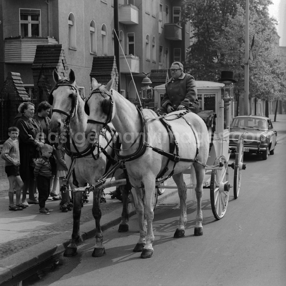 GDR picture archive: Berlin - Prenzlauer Berg - A wedding carriage in Berlin - Prenzlauer Berg. Pulling the coach of two white horses