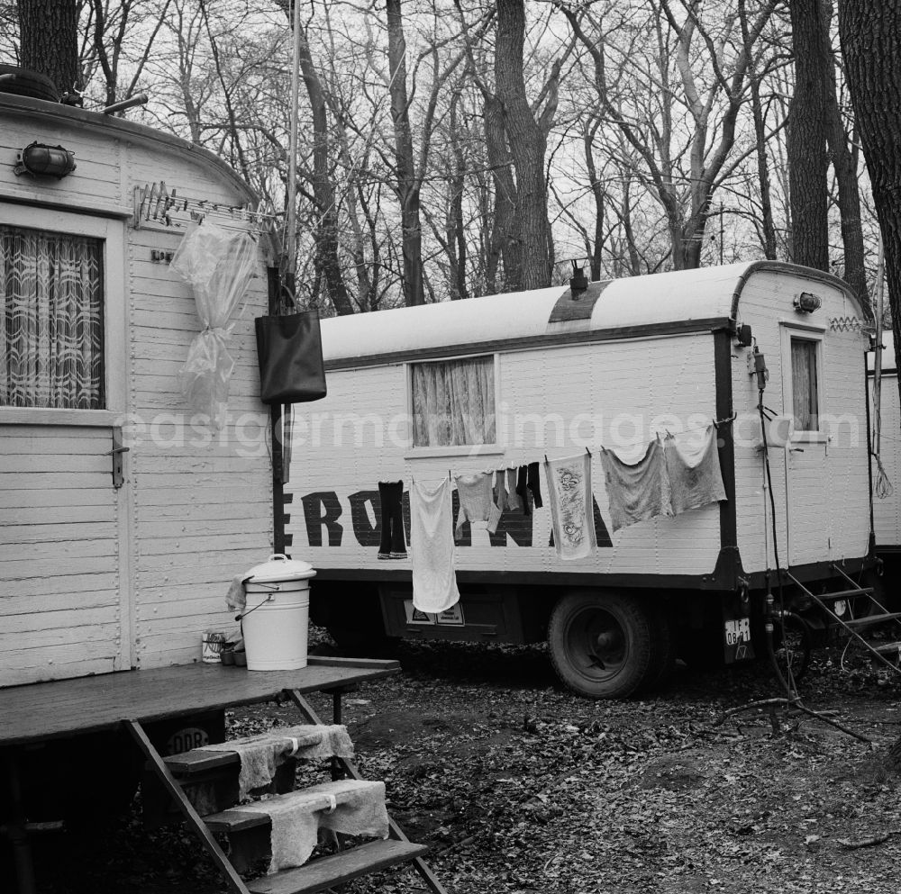GDR picture archive: Dahlwitz-Hoppegarten - Caravan of the state circus of the GDR, BEROLINA, in winter quarters in Dahlwitz - Hoppegarden in Brandenburg. The Circus Berolina developed until 1989 to the modern Great Circus of the CMEA countries