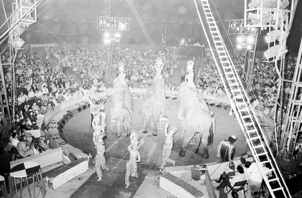 Berlin: Im Zirkus Busch - Gastspiel sowjetischer Staatszirkus im Plänterwald