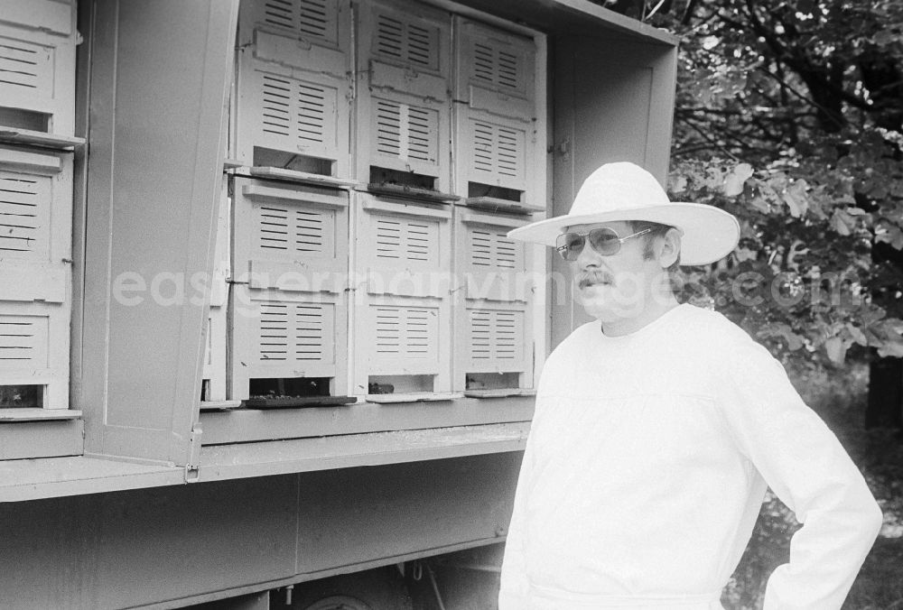 GDR picture archive: Berlin - Beekeeper in front of a beehive in Berlin, the former capital of the GDR, German Democratic Republic