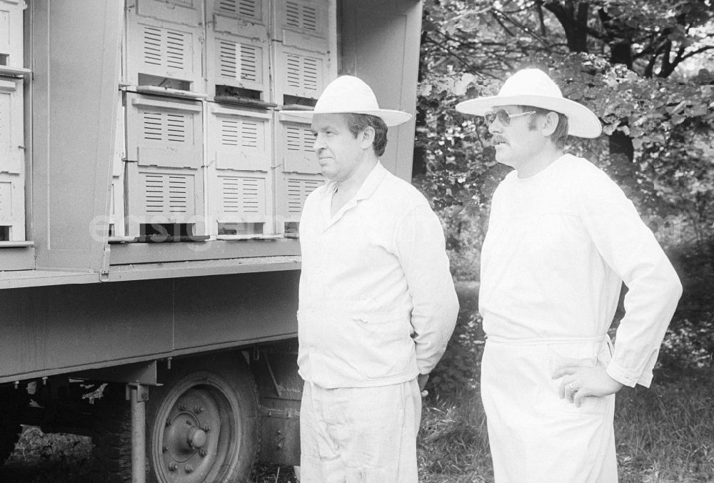 GDR image archive: Berlin - Beekeeper in front of a beehive in Berlin, the former capital of the GDR, German Democratic Republic