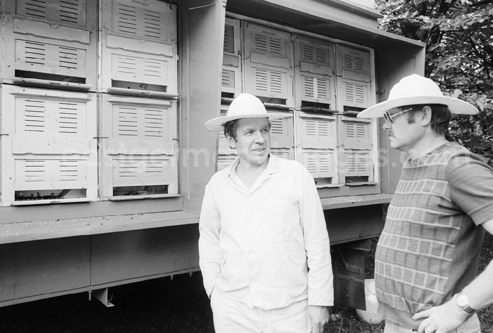 GDR picture archive: Berlin - Beekeeper in front of a beehive in Berlin, the former capital of the GDR, German Democratic Republic