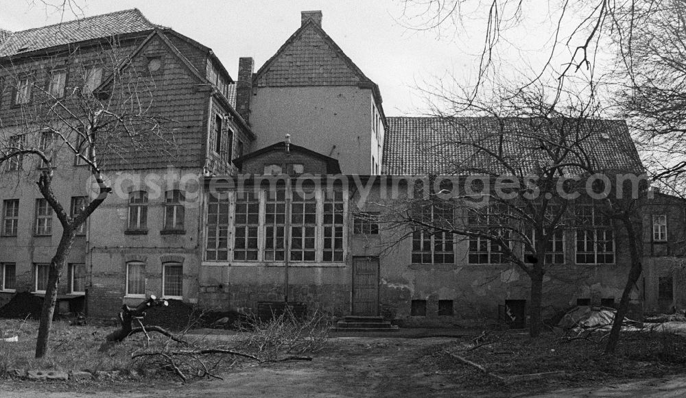 GDR picture archive: Halberstadt - Garden vegetation in a courtyard area Unter den Weiden in Halberstadt in the state Saxony-Anhalt on the territory of the former GDR, German Democratic Republic