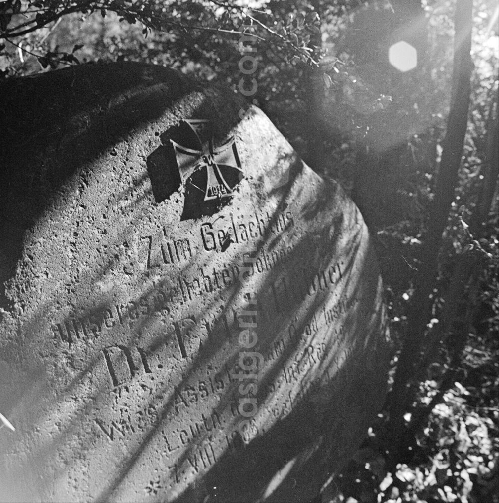 GDR picture archive: Potsdam - Inscription of a cultural-historical gravestone in memory of Dr. Erich Huebner in the cemetery in the district Bornstedt in Potsdam in the state Brandenburg on the territory of the former GDR, German Democratic Republic