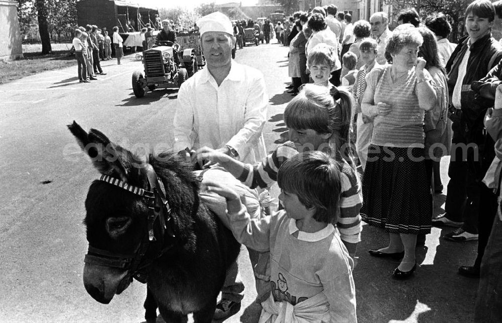 GDR image archive: Plessow (Brandenburg) - 09.05.1987 70